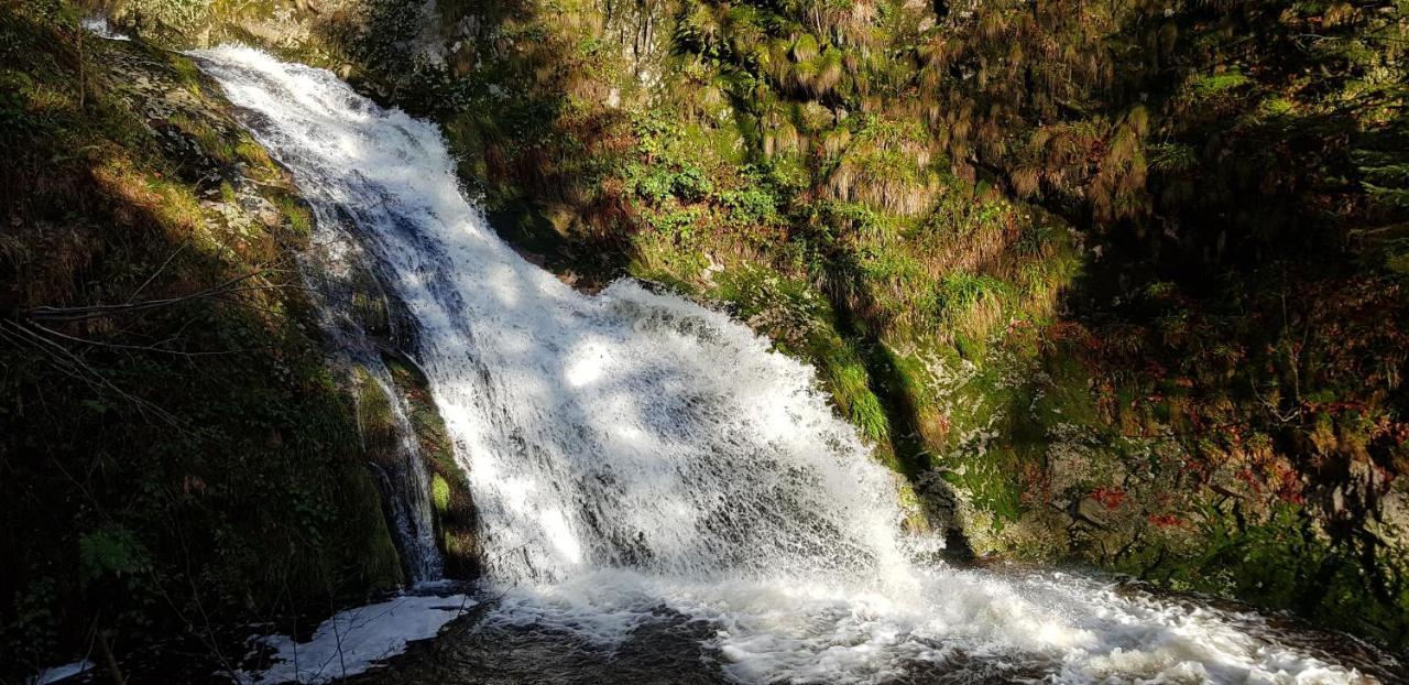 Ferienwohnung "Hirschlein" Im Schwarzwald Baiersbronn Exteriér fotografie