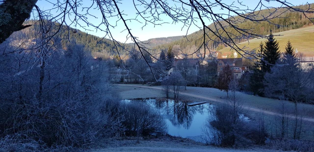 Ferienwohnung "Hirschlein" Im Schwarzwald Baiersbronn Exteriér fotografie