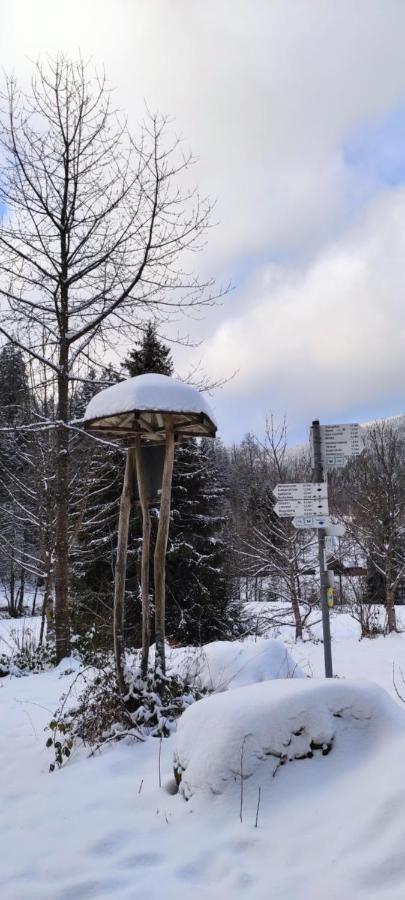 Ferienwohnung "Hirschlein" Im Schwarzwald Baiersbronn Exteriér fotografie