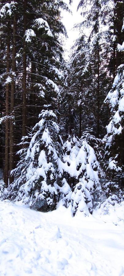 Ferienwohnung "Hirschlein" Im Schwarzwald Baiersbronn Exteriér fotografie