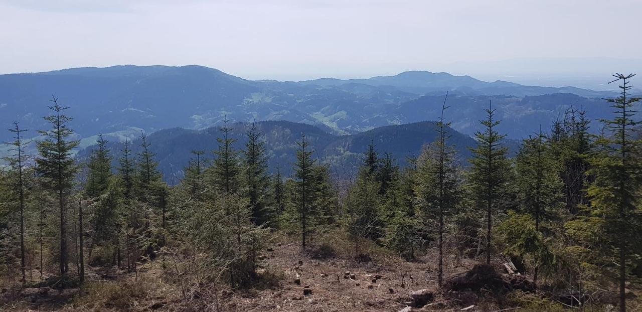 Ferienwohnung "Hirschlein" Im Schwarzwald Baiersbronn Exteriér fotografie