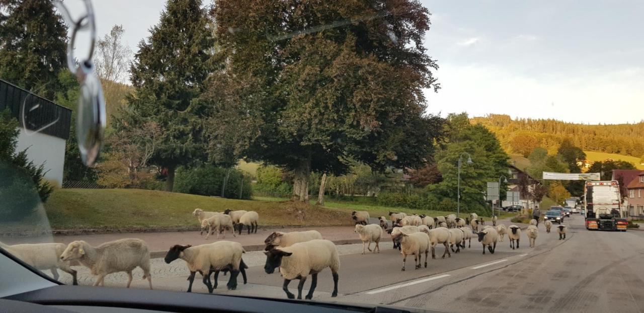 Ferienwohnung "Hirschlein" Im Schwarzwald Baiersbronn Exteriér fotografie